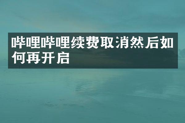 哔哩哔哩续费取消然后如何再开启