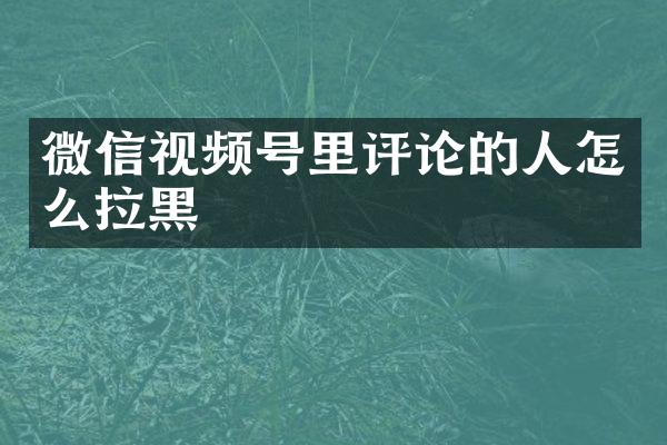 微信视频号里评论的人怎么拉黑