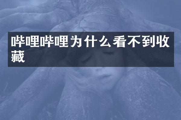 哔哩哔哩为什么看不到收藏