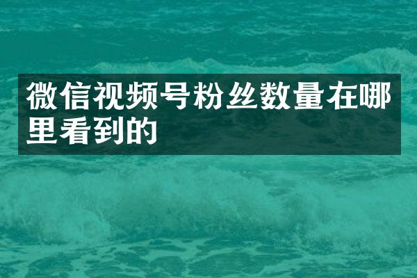 微信视频号粉丝数量在哪里看到的