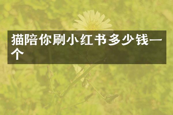 猫陪你刷小红书多少钱一个