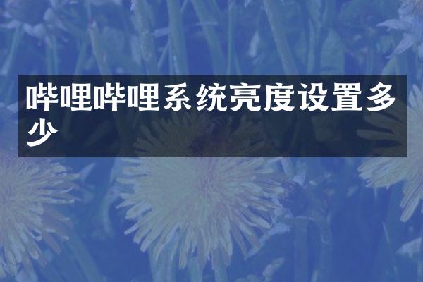 哔哩哔哩系统亮度设置多少