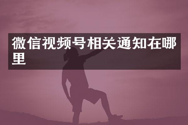 微信视频号相关通知在哪里