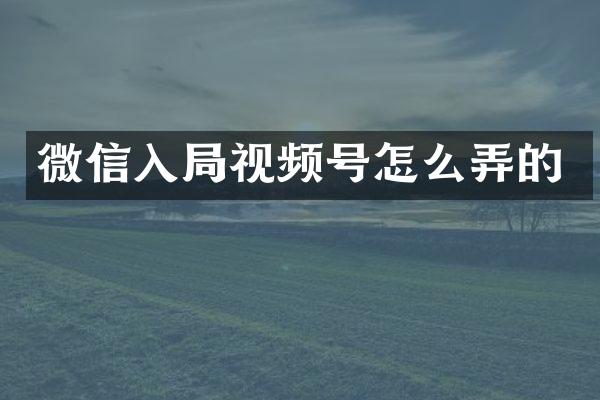 微信入局视频号怎么弄的