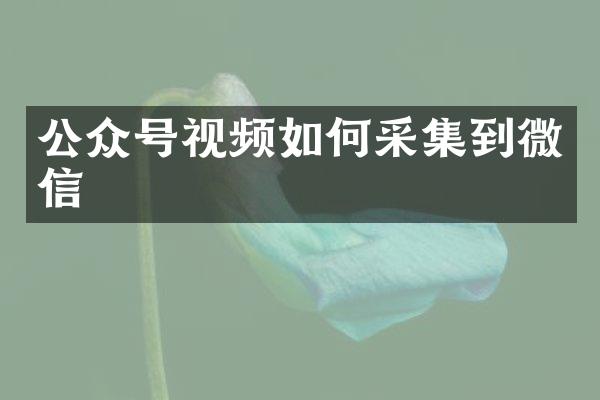 公众号视频如何采集到微信