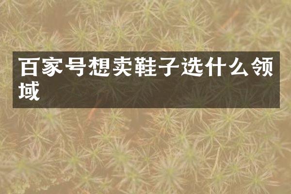 百家号想卖鞋子选什么领域