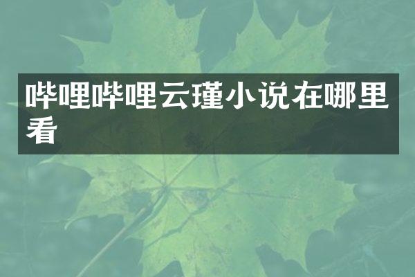 哔哩哔哩云瑾小说在哪里看