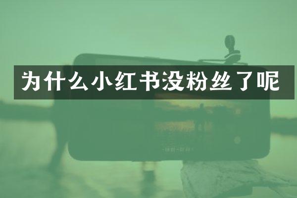 为什么小红书没粉丝了呢