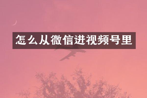 怎么从微信进视频号里