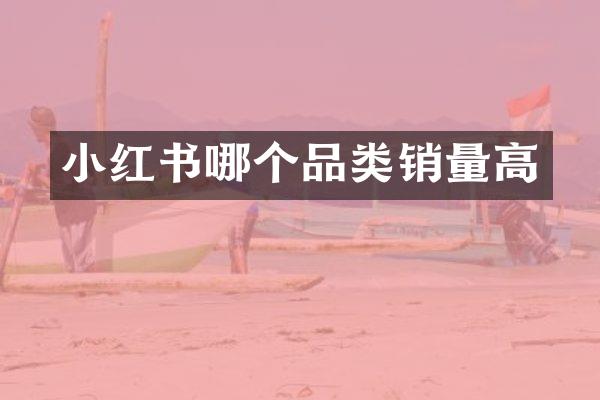 小红书哪个品类销量高