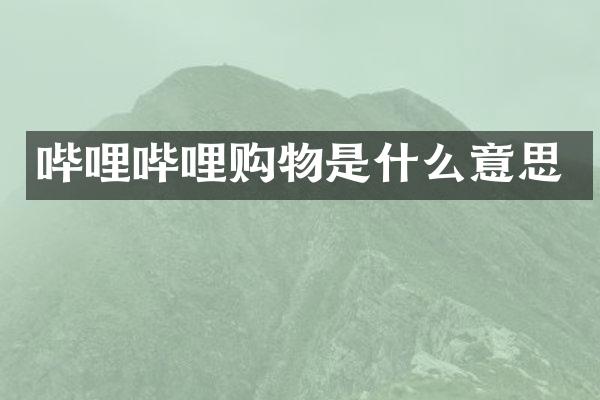 哔哩哔哩购物是什么意思