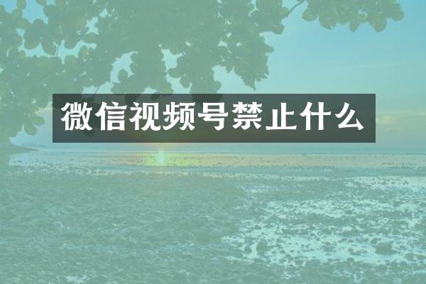 微信视频号禁止什么
