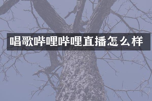 唱歌哔哩哔哩直播怎么样