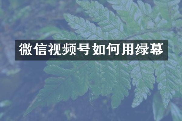 微信视频号如何用绿幕