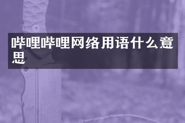 哔哩哔哩网络用语什么意思