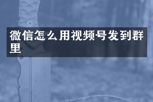 微信怎么用视频号发到群里