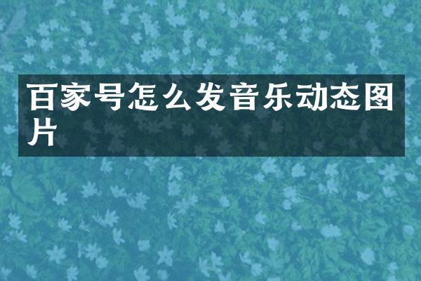 百家号怎么发音乐动态图片