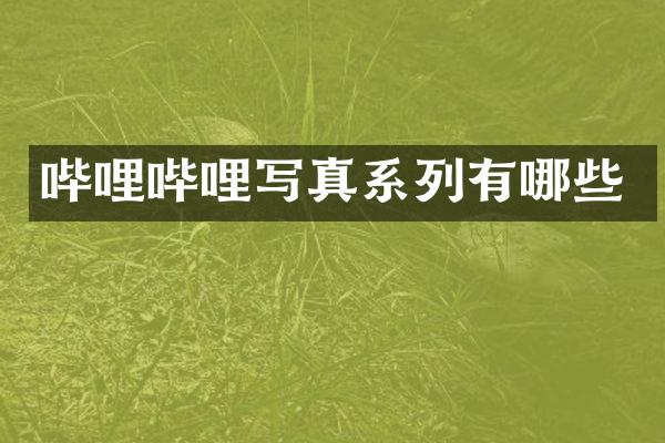 哔哩哔哩写真系列有哪些