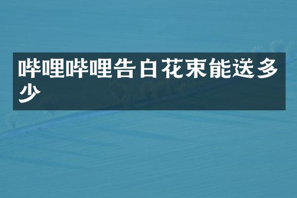 哔哩哔哩告白花束能送多少