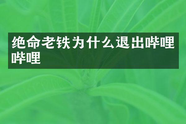 绝命老铁为什么退出哔哩哔哩