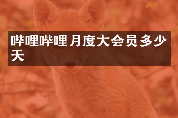 哔哩哔哩月度大会员多少天