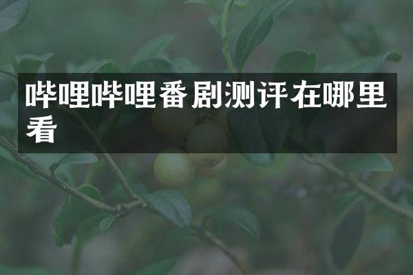 哔哩哔哩番剧测评在哪里看