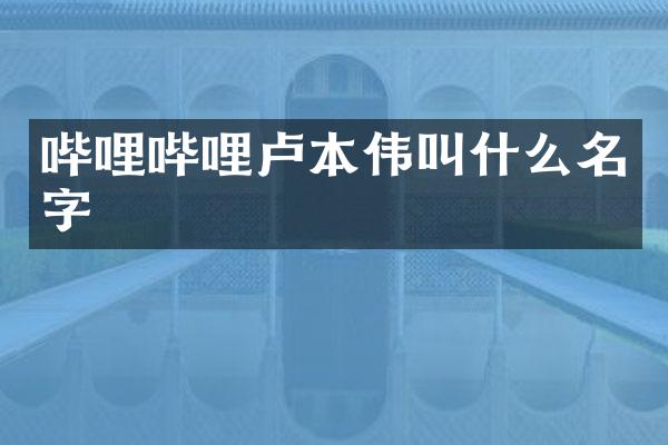 哔哩哔哩卢本伟叫什么名字