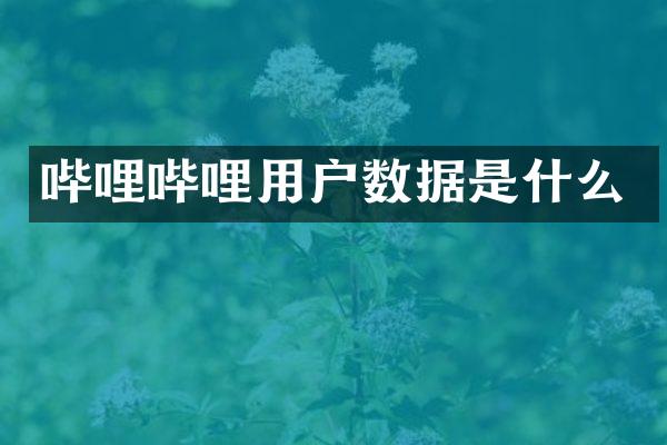 哔哩哔哩用户数据是什么