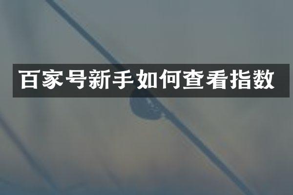 百家号新手如何查看指数