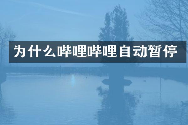 为什么哔哩哔哩自动暂停