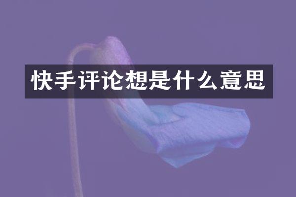 快手评论想是什么意思