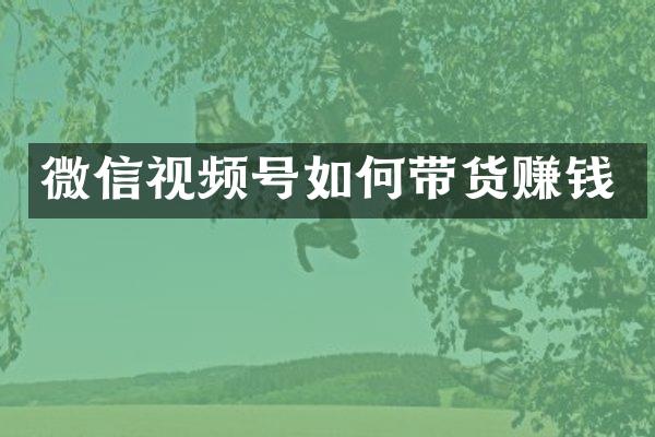 微信视频号如何带货赚钱