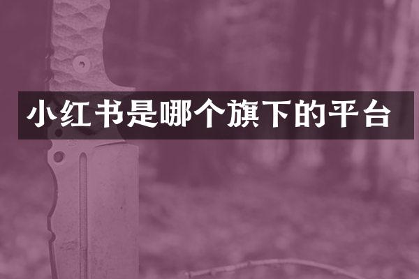 小红书是哪个旗下的平台