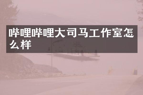 哔哩哔哩大司马工作室怎么样