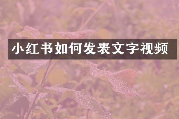 小红书如何发表文字视频
