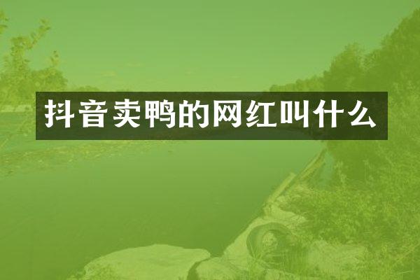 抖音卖鸭的网红叫什么