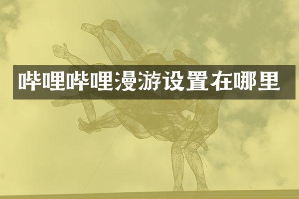 哔哩哔哩漫游设置在哪里