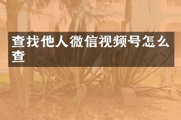 查找他人微信视频号怎么查