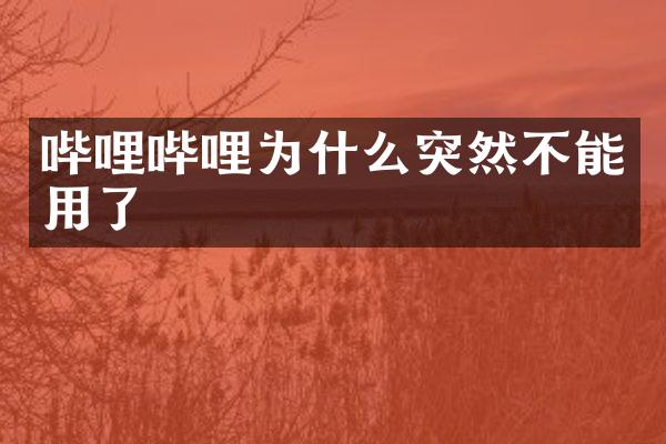 哔哩哔哩为什么突然不能用了