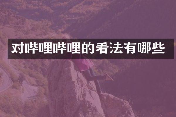 对哔哩哔哩的看法有哪些