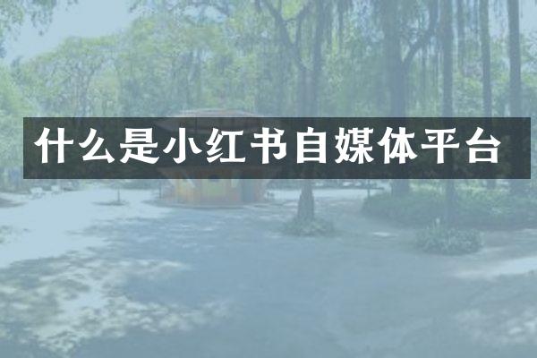 什么是小红书自媒体平台