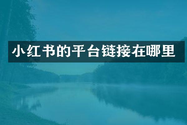 小红书的平台链接在哪里