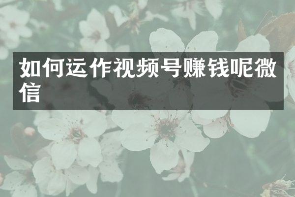 如何运作视频号赚钱呢微信