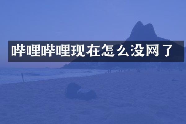 哔哩哔哩现在怎么没网了