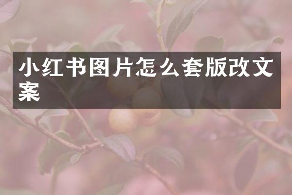 小红书图片怎么套版改文案