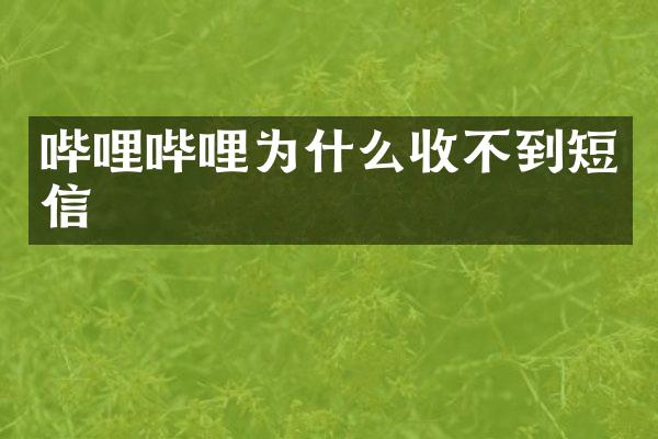 哔哩哔哩为什么收不到短信