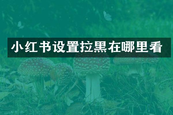 小红书设置拉黑在哪里看