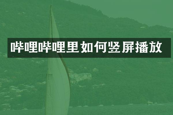 哔哩哔哩里如何竖屏播放