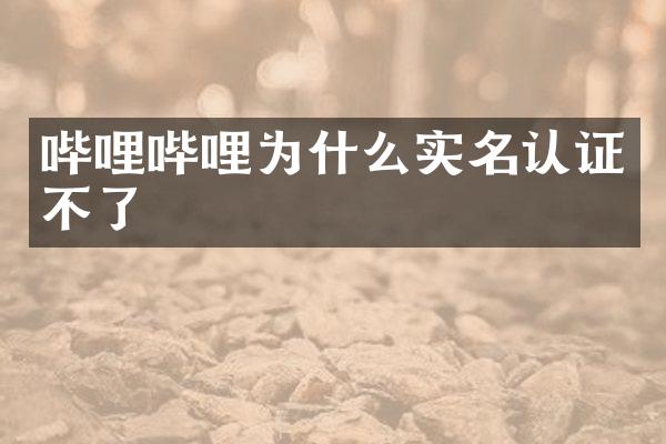 哔哩哔哩为什么实名认证不了