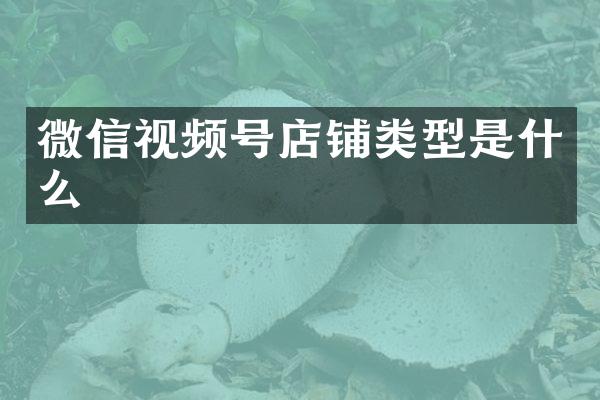 微信视频号店铺类型是什么